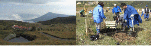 http://static.apub.kr/journalsite/sites/ksmer/2014-051-06/N0330510611/images/PIC7451.gif