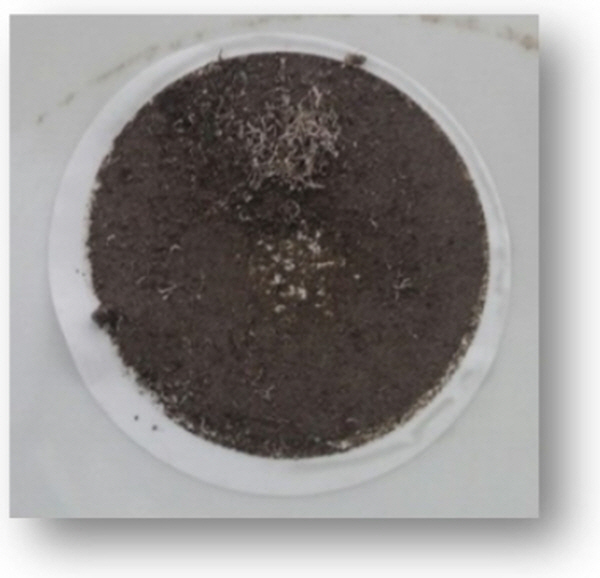 http://static.apub.kr/journalsite/sites/ksmer/2015-052-06/N0330520605/images/figure_KSGE_52_06_05_F9.jpg