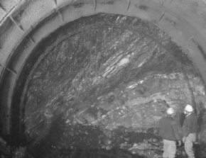 http://static.apub.kr/journalsite/sites/kta/2002-004-02/N0550040207/images/PIC7100.jpg