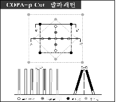 http://static.apub.kr/journalsite/sites/kta/2002-004-04/N0550040403/images/PICCE26.gif