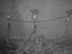 http://static.apub.kr/journalsite/sites/kta/2003-005-01/N0550050108/images/PICA1BF.jpg