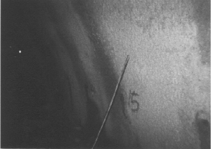 http://static.apub.kr/journalsite/sites/kta/2003-005-01/N0550050108/images/PICA202.jpg