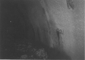 http://static.apub.kr/journalsite/sites/kta/2003-005-01/N0550050108/images/PICA233.jpg