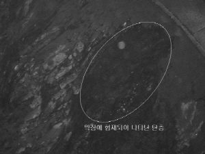http://static.apub.kr/journalsite/sites/kta/2003-005-01/N0550050108/images/PICA374.jpg