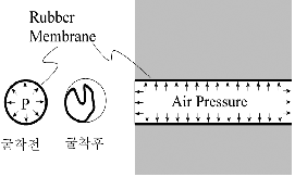 http://static.apub.kr/journalsite/sites/kta/2003-005-02/N0550050208/images/PIC4026.gif