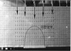 http://static.apub.kr/journalsite/sites/kta/2003-005-03/N0550050301/images/PICA9EE.jpg