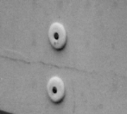 http://static.apub.kr/journalsite/sites/kta/2003-005-03/N0550050304/images/PICDB39.jpg