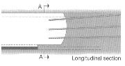 http://static.apub.kr/journalsite/sites/kta/2003-005-04/N0550050403/images/PICCCAC.gif