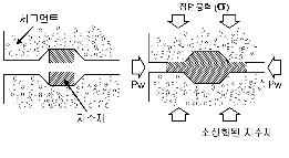 http://static.apub.kr/journalsite/sites/kta/2003-005-04/N0550050406/images/PICF48E.gif