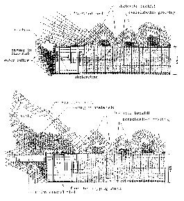 http://static.apub.kr/journalsite/sites/kta/2004-006-02/N0550060201/images/PIC4442.gif