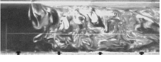 http://static.apub.kr/journalsite/sites/kta/2004-006-02/N0550060204/images/PIC7403.gif