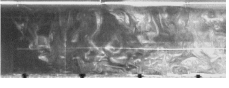 http://static.apub.kr/journalsite/sites/kta/2004-006-02/N0550060204/images/PIC7452.gif