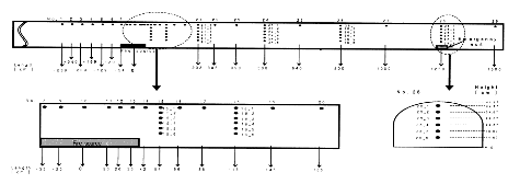 http://static.apub.kr/journalsite/sites/kta/2004-006-02/N0550060205/images/PIC7974.gif