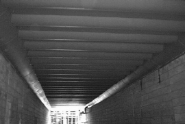 http://static.apub.kr/journalsite/sites/kta/2004-006-04/N0550060407/images/PIC7157.jpg
