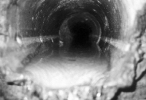 http://static.apub.kr/journalsite/sites/kta/2005-007-03/N0550070304/images/PIC1052.jpg
