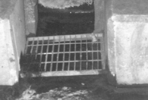 http://static.apub.kr/journalsite/sites/kta/2005-007-03/N0550070304/images/PIC12E5.jpg