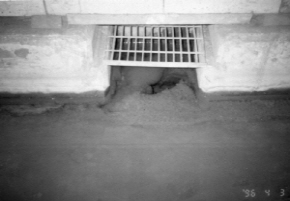 http://static.apub.kr/journalsite/sites/kta/2005-007-03/N0550070304/images/PICF18.jpg