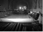 http://static.apub.kr/journalsite/sites/kta/2006-008-01/N0550080102/images/PIC8483.gif