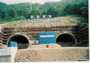http://static.apub.kr/journalsite/sites/kta/2006-008-01/N0550080104/images/PICA48D.JPG