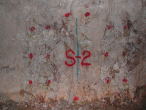 http://static.apub.kr/journalsite/sites/kta/2006-008-02/N0550080204/images/PIC7689.JPG