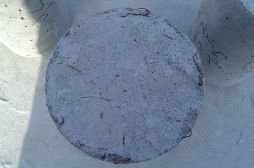 http://static.apub.kr/journalsite/sites/kta/2006-008-02/N0550080207/images/PICA817.JPG