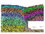 http://static.apub.kr/journalsite/sites/kta/2006-008-03/N0550080301/images/PICF1A8.gif