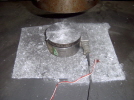 http://static.apub.kr/journalsite/sites/kta/2006-008-03/N0550080302/images/PICF870.JPG