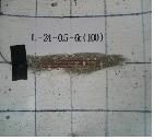 http://static.apub.kr/journalsite/sites/kta/2006-008-03/N0550080304/images/PICDD1.gif