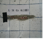 http://static.apub.kr/journalsite/sites/kta/2006-008-03/N0550080304/images/PICE10.gif