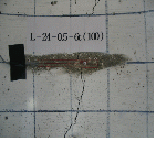 http://static.apub.kr/journalsite/sites/kta/2006-008-03/N0550080304/images/PICE50.gif