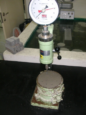 http://static.apub.kr/journalsite/sites/kta/2006-008-03/N0550080305/images/PIC1C38.JPG
