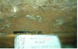 http://static.apub.kr/journalsite/sites/kta/2007-009-01/N0550090105/images/PIC875C.gif
