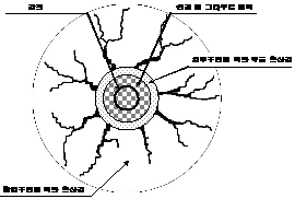 http://static.apub.kr/journalsite/sites/kta/2007-009-02/N0550090202/images/PICEDF2.gif