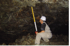 http://static.apub.kr/journalsite/sites/kta/2007-009-03/N0550090303/images/PICCE9B.gif