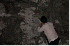 http://static.apub.kr/journalsite/sites/kta/2007-009-03/N0550090303/images/PICD0EF.gif