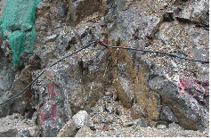 http://static.apub.kr/journalsite/sites/kta/2007-009-03/N0550090303/images/PICD2C4.gif