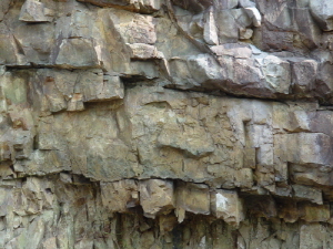 http://static.apub.kr/journalsite/sites/kta/2007-009-04/N0550090407/images/PICDA10.JPG