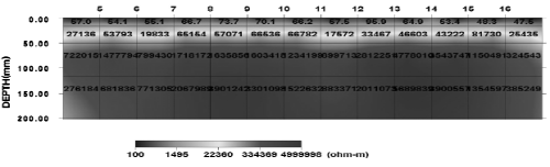 http://static.apub.kr/journalsite/sites/kta/2008-010-03/N0550100305/images/bw11.png