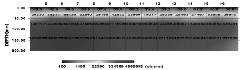 http://static.apub.kr/journalsite/sites/kta/2008-010-03/N0550100305/images/bw12.png