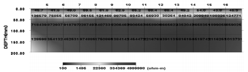 http://static.apub.kr/journalsite/sites/kta/2008-010-03/N0550100305/images/bw14.png