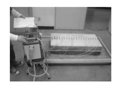 http://static.apub.kr/journalsite/sites/kta/2008-010-03/N0550100305/images/bw2-1.png