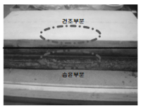 http://static.apub.kr/journalsite/sites/kta/2008-010-03/N0550100305/images/bw3-2.png