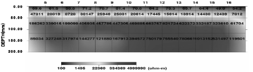 http://static.apub.kr/journalsite/sites/kta/2008-010-03/N0550100305/images/bw4.png