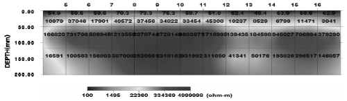 http://static.apub.kr/journalsite/sites/kta/2008-010-03/N0550100305/images/bw6.png