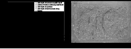 http://static.apub.kr/journalsite/sites/kta/2008-010-04/N0550100402/images/PIC3E7E.gif
