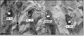 http://static.apub.kr/journalsite/sites/kta/2009-011-01/N0550110105/images/PIC45E8.gif