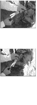http://static.apub.kr/journalsite/sites/kta/2009-011-01/N0550110105/images/PIC6B04.gif