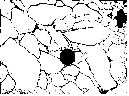 http://static.apub.kr/journalsite/sites/kta/2009-011-02/N0550110201/images/PICDA58.gif