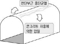 http://static.apub.kr/journalsite/sites/kta/2009-011-03/N0550110301/images/PIC9E55.jpg