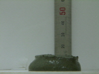 http://static.apub.kr/journalsite/sites/kta/2009-011-03/N0550110301/images/PICA12F.JPG